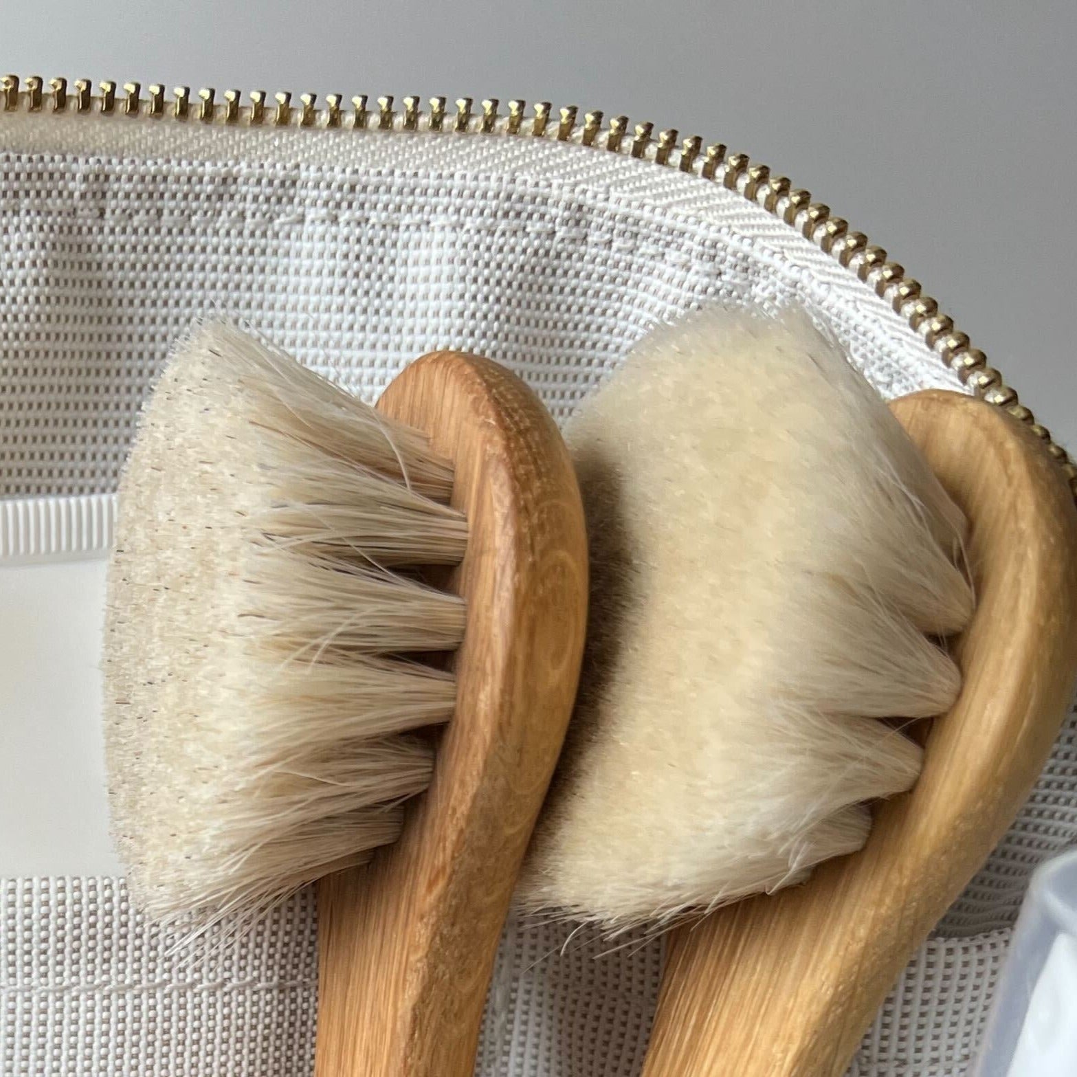 Dry and Wet Use brushes