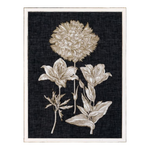 "Fine Botanicals IV" Framed Art Print ARTWORK - framed print Celadon Art