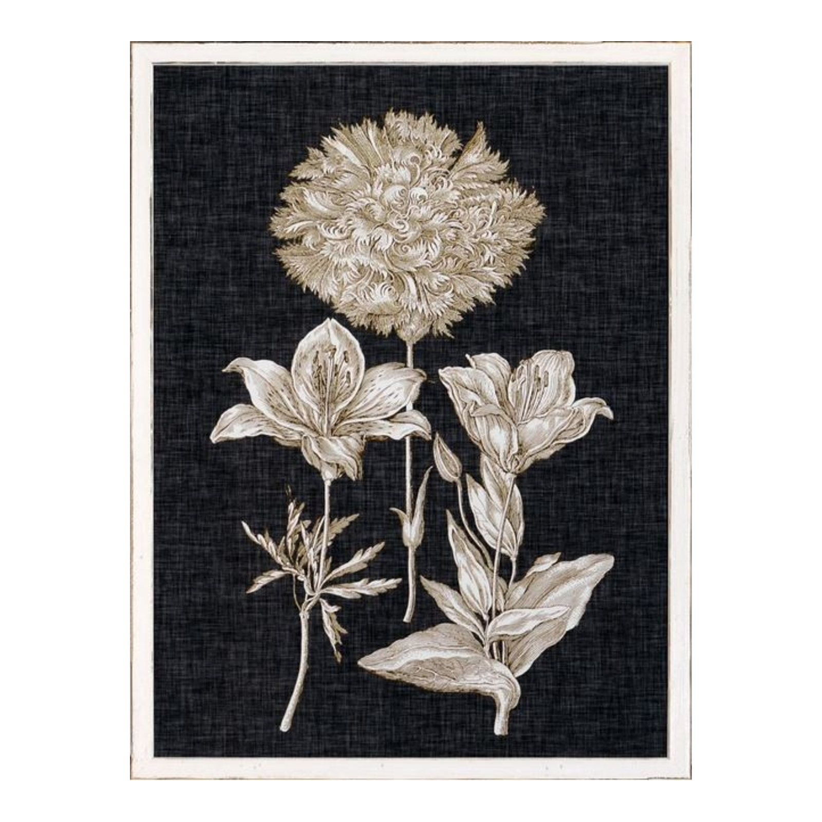 "Fine Botanicals IV" Framed Art Print ARTWORK - framed print Celadon Art