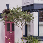 Farrow & Ball Rangwali No. 296 PAINT - Farrow & Ball Farrow & Ball