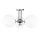 Polished Nickel